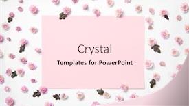  Presentation with leaves flat lay - PPT theme having blossoming-floral-photo-frame background and a pink colored foreground