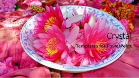  Presentation with lotus - Presentation design having blossoming lotus flowers background and a coral colored foreground