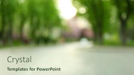  Presentation with sakura - Beautiful slides featuring blossoming pink sakura tree in the street backdrop and a soft green colored foreground