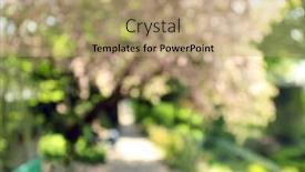  Presentation with sakura - Colorful PPT theme enhanced with blossoming pink sakura tree in the street backdrop and a coral colored foreground