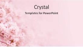  Presentation with bloom - Amazing slide deck having blossoms in full bloom title backdrop and a lemonade colored foreground