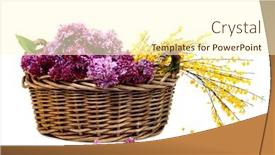  Presentation with wicker - Beautiful presentation theme featuring blossoms-of-lilac-and-genista backdrop and a cream colored foreground