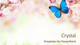  Presentation with free - Slides with blossoms on white background free background and a cream colored foreground