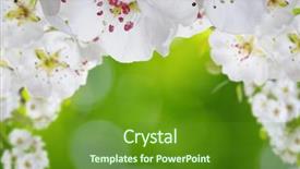  Presentation with blurred flowers - Colorful slide set enhanced with blossoms over blurred nature background spring flowers spring background with green bokeh backdrop and a tawny brown colored foreground