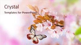  Presentation with free glitter - Amazing presentation theme having spring blossoms with exotic butterfly backdrop and a lemonade colored foreground