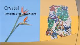  Presentation with blue floral - Presentation design enhanced with blouse-female-vest-with-floral background and a light blue colored foreground