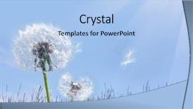  Presentation with summer - PPT theme consisting of blowing leaf - nice summer day background and a light blue colored foreground