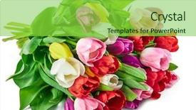  Presentation with romantic gift - Beautiful presentation featuring blowing leaf - spring tulips flowers bouquet romantic backdrop and a seafoam green colored foreground