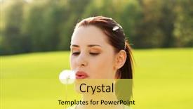  Presentation with dandelion - Cool new presentation design with blowing on dandelion grass pollen backdrop and a yellow colored foreground