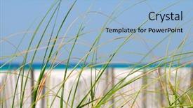  Presentation with sand ocean - Cool new slide set with blowing sea grasses on sand backdrop and a light blue colored foreground