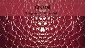  Presentation with skin biology - Beautiful theme featuring blqck snake - skin backdrop and a red colored foreground