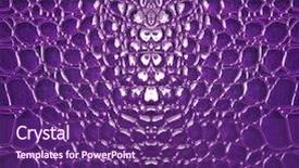  Presentation with skin - Cool new PPT layouts with blqck snake - skin backdrop and a violet colored foreground