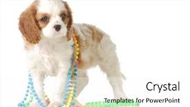  Presentation with two cute sisters playing - PPT theme consisting of blue 7 yellow - cute puppy playing with colorful background and a  colored foreground