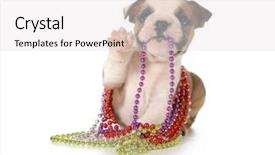  Presentation with english alphabet set in old - PPT theme enhanced with blue 7 yellow - playful puppy chewing on beads background and a  colored foreground