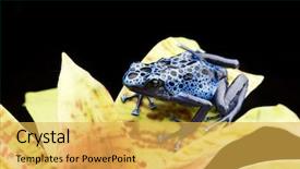  Presentation with extinction - Amazing PPT theme having blue and black poison dart backdrop and a yellow colored foreground