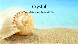  Presentation with shell - PPT theme enhanced with blue animals - gastropod shell on the beach background and a  colored foreground