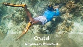  Presentation with tropical reef fish - Theme featuring tropical reef with blue background background and a seafoam green colored foreground