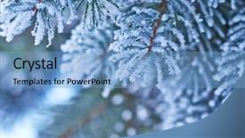  Presentation with sparkle christmas wallpaper blur christmas - Slide deck featuring blue background snowfall on christmas background and a  colored foreground