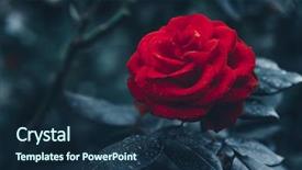  Presentation with dark blue green - Beautiful PPT layouts featuring art floral dark green-blue backdrop and a navy blue colored foreground