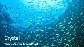  Presentation with sardines - Slide deck having blue background with sardines fish background and a ocean colored foreground