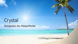  Presentation with coconut - Slides with hot beach - sea and coconut palm background and a light blue colored foreground