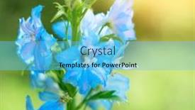  Presentation with blurred bokeh - Beautiful slide set featuring blue-bell-flowers-on-blurred backdrop and a light blue colored foreground