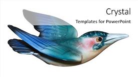  Presentation with ornament - Beautiful presentation theme featuring blue birds - antique china bird ornament isolated backdrop and a  colored foreground