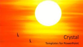  Presentation with birds - Slides featuring blue birds - beautiful sunset background and a gray colored foreground