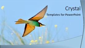  Presentation with bee - Colorful PPT layouts enhanced with portrait of confident business partners looking at camera with male leader in front backdrop and a dark gray colored foreground