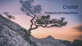  Presentation with filter - Audience pleasing presentation theme consisting of blue black edge - tree on rock in crimea backdrop and a  colored foreground