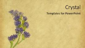  Presentation with lavender - Cool new PPT theme with blue border - lavender on paper background backdrop and a yellow colored foreground