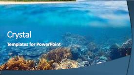  Presentation with sea coral - Presentation theme having blue bottom line - coral reef in clear sea background and a teal colored foreground