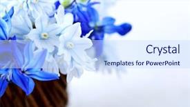  Presentation with blue floral - Presentation featuring blue bouquet of first spring flowers in a basket - floral background background and a sky blue colored foreground