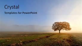  Presentation with autumn morning - PPT layouts consisting of green apple and dental tools on wooden background background and a blonde colored foreground