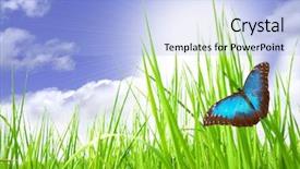  Presentation with magic - Beautiful theme featuring blue butterfly - magic meadow backdrop and a light blue colored foreground