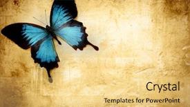  Presentation with parchment - Amazing slides having portrait of businesspeople using digital tablet in office backdrop and a light gray colored foreground