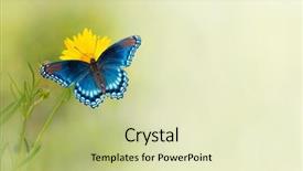  Presentation with blue flower - Amazing PPT theme having blue butterfly on yellow flower backdrop and a soft green colored foreground