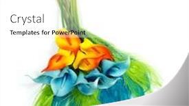  Presentation with calla - Beautiful slides featuring blue-calla-lilies backdrop and a white colored foreground