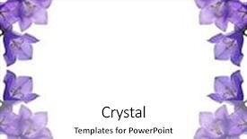  Presentation with corner - Amazing slide deck having blue campanula flowers corner isolated backdrop and a white colored foreground