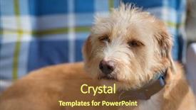  Presentation with stone cross - Beautiful PPT theme featuring blue chair outdoor little cross backdrop and a tawny brown colored foreground