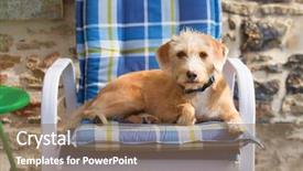  Presentation with stone cross - PPT theme consisting of blue chair outdoor little cross background and a coral colored foreground