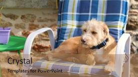 Presentation with stone cross - Beautiful theme featuring blue chair outdoor little cross backdrop and a coral colored foreground