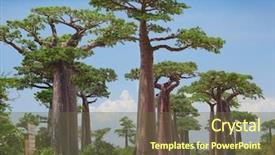  Presentation with land - Slide set enhanced with blue clear sky madagascar background and a tawny brown colored foreground