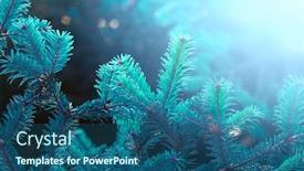  Presentation with spruce - Amazing PPT layouts having blue-color-spruce-nature-background backdrop and a ocean colored foreground