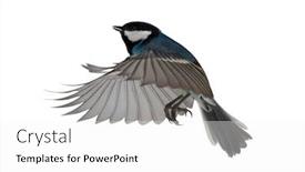  Presentation with flight - PPT theme enhanced with blue colored in flight isolated on white background background and a white colored foreground