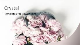  Presentation with tote bag - Audience pleasing slide set consisting of blue-cotton-eco-tote-bag backdrop and a white colored foreground