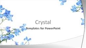  Presentation with flower border - Slide set enhanced with blue-delphinium-flower-background-border background and a white colored foreground