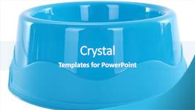  Presentation with pets - Amazing presentation theme having blue dog bowl for pets backdrop and a  colored foreground