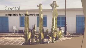  Presentation with cactus - Theme with blue-door-with-cactus background and a mint green colored foreground