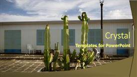  Presentation with cactus - Theme featuring blue-door-with-cactus background and a tawny brown colored foreground